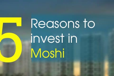 Invest in moshi