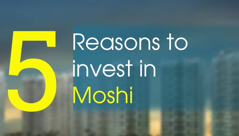 Invest in moshi