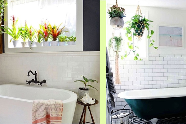 Must-Haves for a Luxurious Bathroom