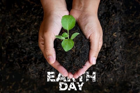 Earth Day: 5 Green Home Solutions