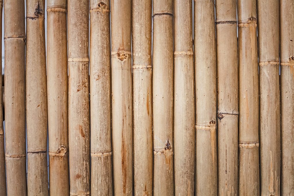 Ways To Use Bamboo In Your Home Décor
